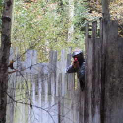 Paintball, Low Impact Paintball Potters Bar, Hertfordshire