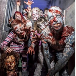 Zombie Survival Birmingham, West Midlands