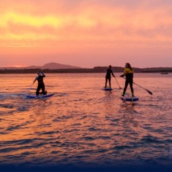 Stand Up Paddle Boarding (SUP) Cobleland, Stirling