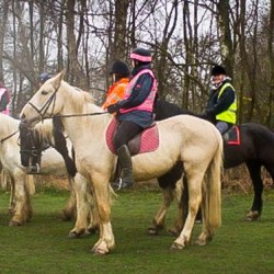Horse Riding Birmingham, West Midlands