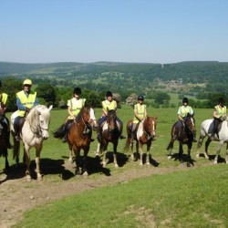 Horse Riding, Llama Trekking, Camel Trekking, Mountain Biking, Extreme Horse Riding, Bike Tours Georgeham, Devon