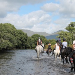 Horse Riding, Llama Trekking, Camel Trekking, Mountain Biking, Extreme Horse Riding, Bike Tours Georgeham, Devon